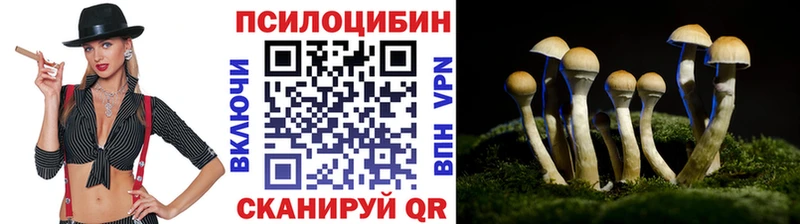 Галлюциногенные грибы Psilocybine cubensis  Купить закладки  Ухта 